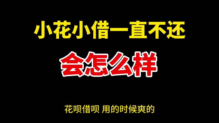 小花钱包借10000利息多少