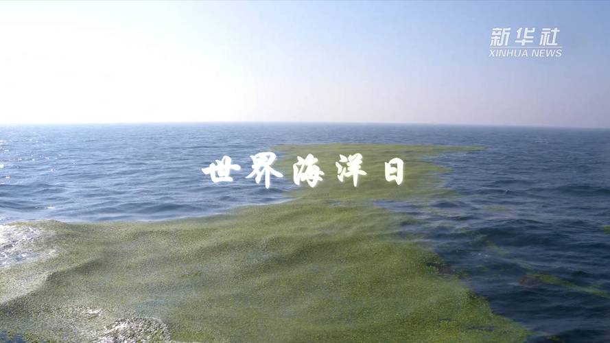 世界海洋日是几月几日