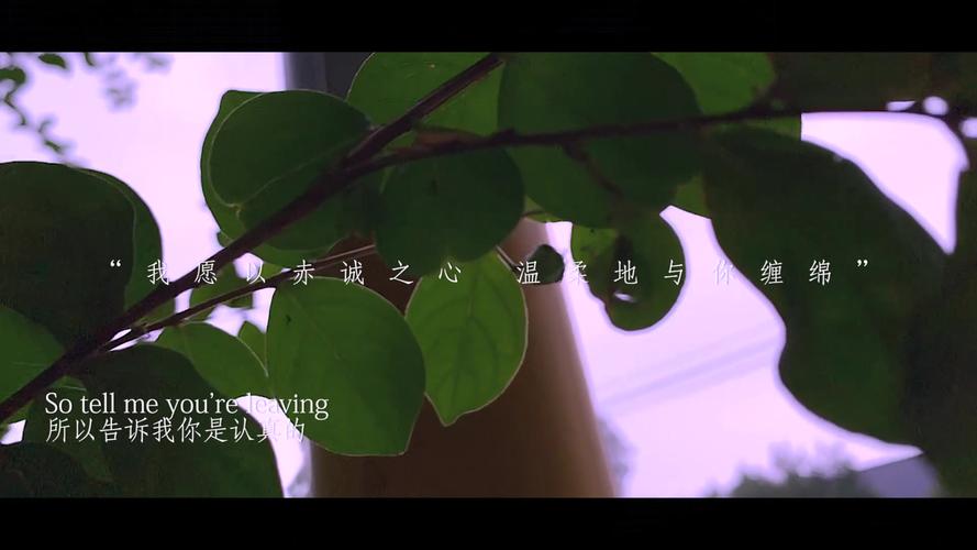 永远带着一颗赤诚之心什么意思-墨子百科 永远带着一颗赤诚之心什么意思