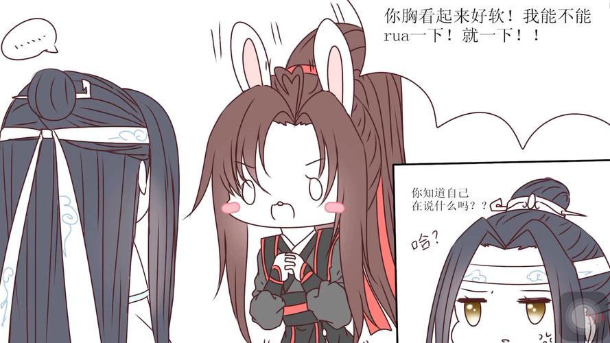 魔道祖师兔子是什么梗