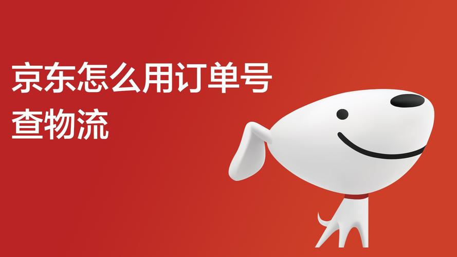 京东订单编号能查什么