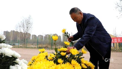 10月1日能提前上坟吗