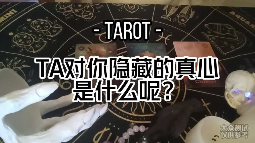 TA是什么