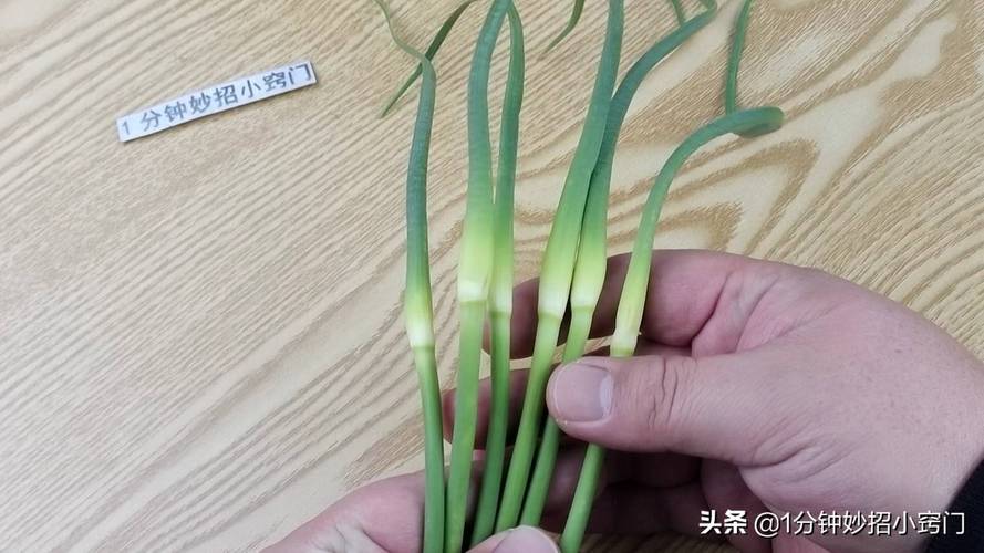 抽了蒜苔还能长蒜吗