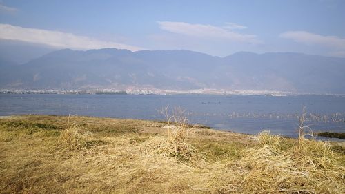 洱海多大面积