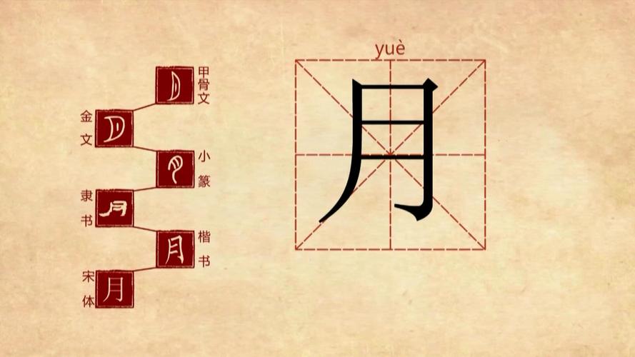 带有月字旁的字都和什么有关