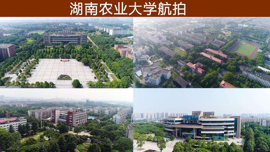 湖南财经大学是几本