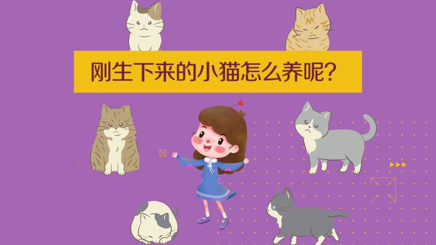 刚生下来的小猫怎么养