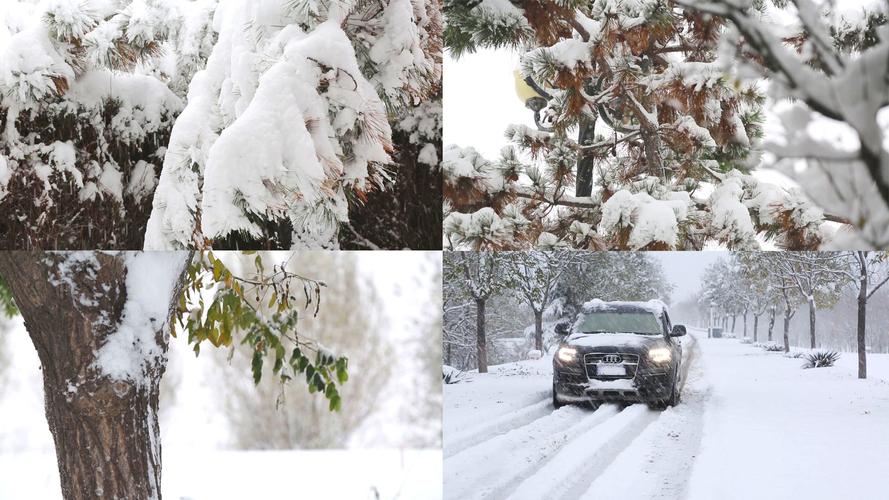 鹅毛大雪的意思是什么