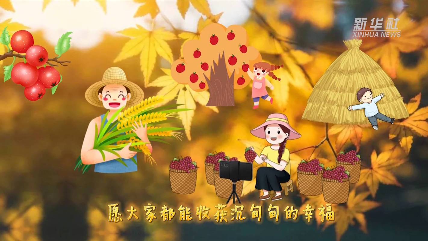 收获季节是什么时候