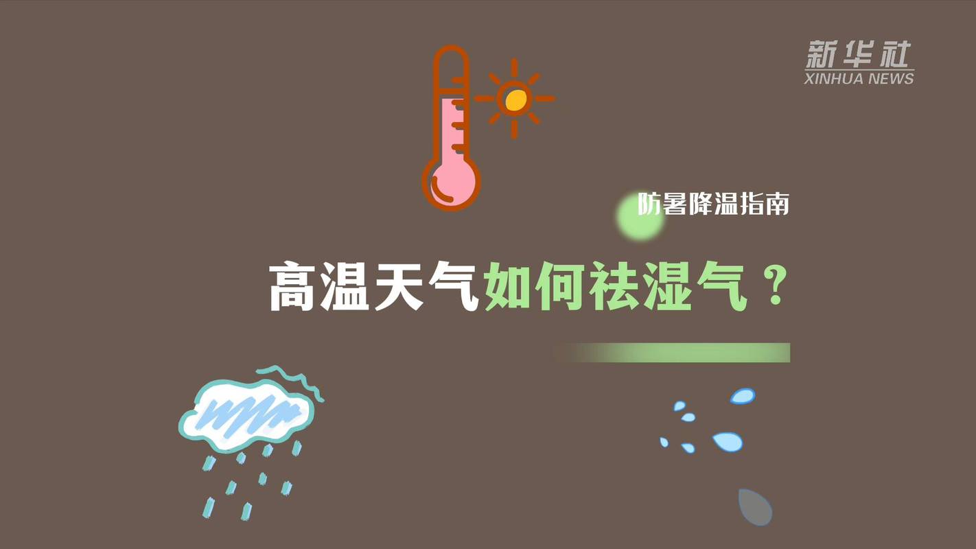 天气太潮湿怎么办