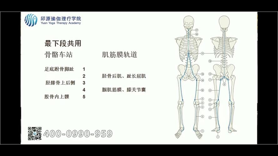 为什么大腿皮纹不对称