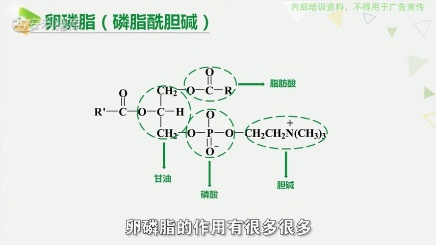 深海鱼油一天吃几粒