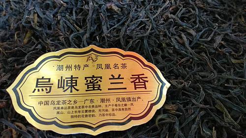 凤凰单枞属于什么茶