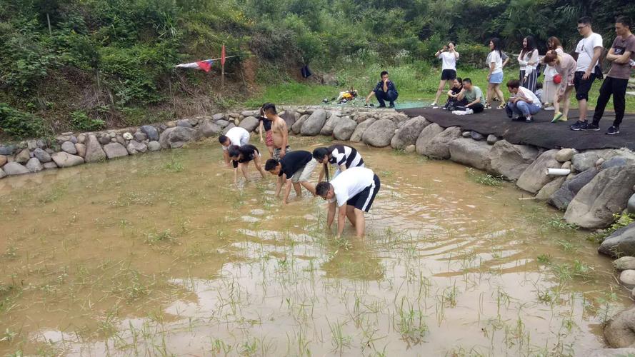 浑水摸鱼是什么意思