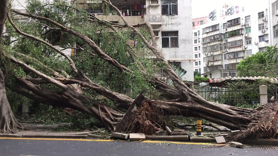 台风山竹被永久除名了吗