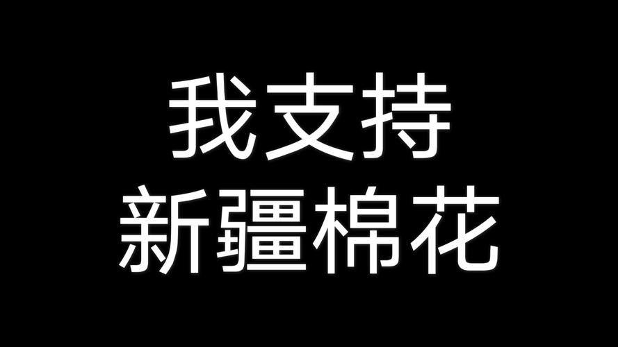 b站里说的贾斯丁布布是什么意思