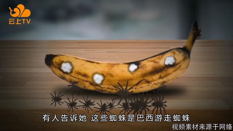 毒闪电发货鉴别吗