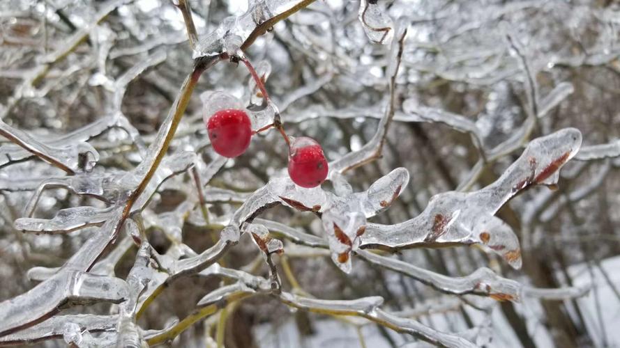 冰雪融化是不是成语