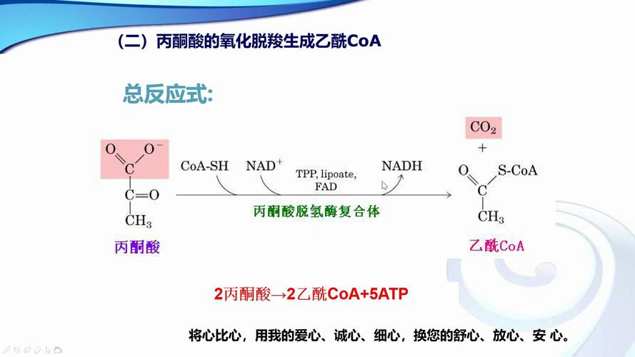 氧化铁和一氧化碳反应生成什么