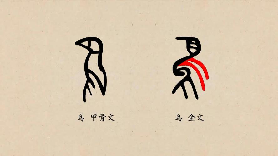 鸟字旁的字