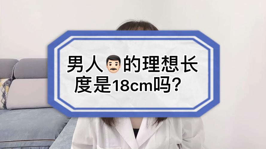 boy属于什么档次