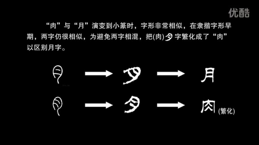 己字可以组成什么词语