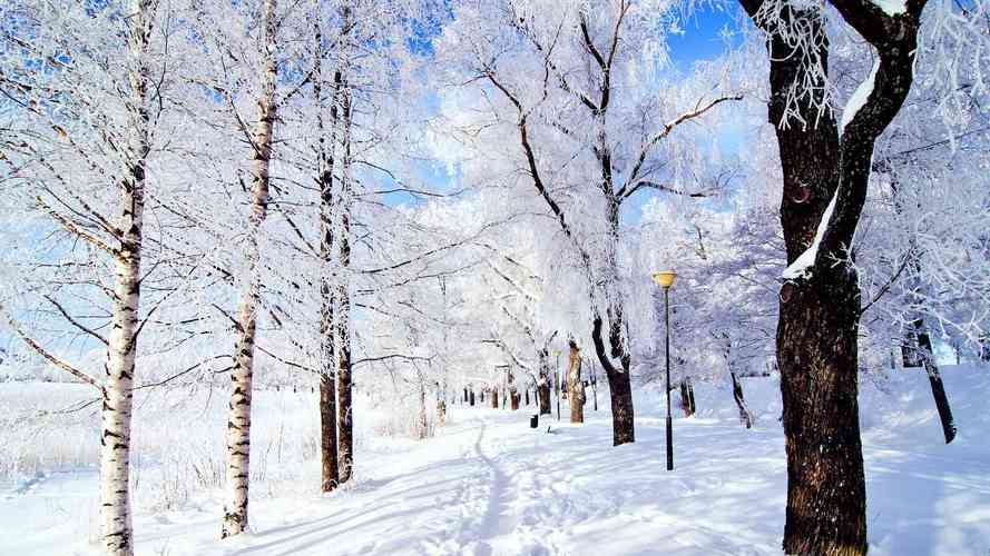 女人梦见下大雪有什么预兆