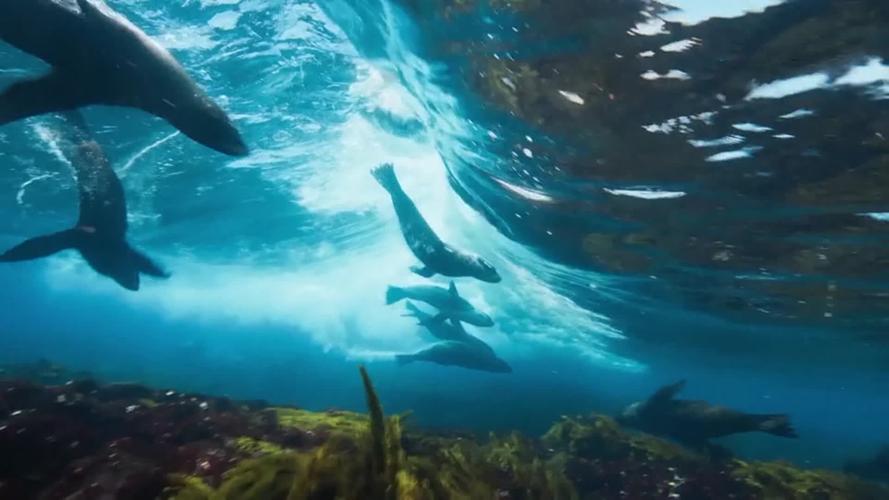 宁波海洋世界水族馆门票多少