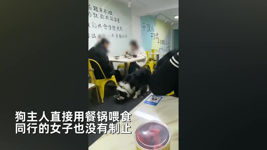 门客生活怎么投诉