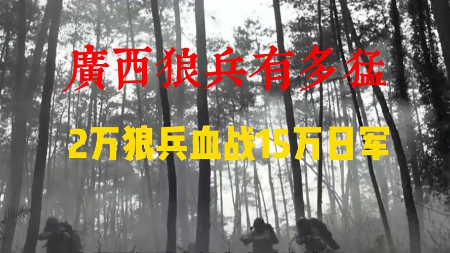 广西狼兵是否属实