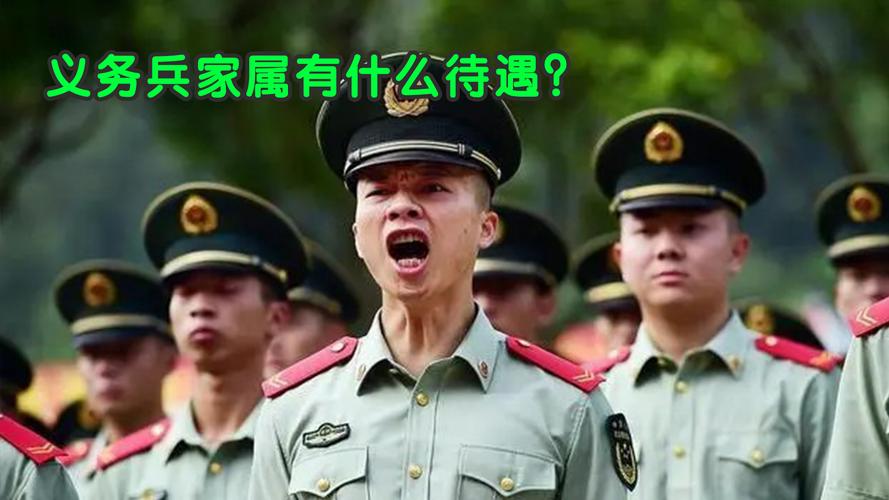 义务兵是什么意思