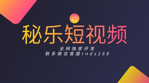 秘乐短视频是什么公司