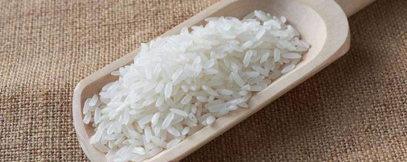 家里米虫到处爬怎么根除-墨子百科 家里米虫到处爬怎么根除