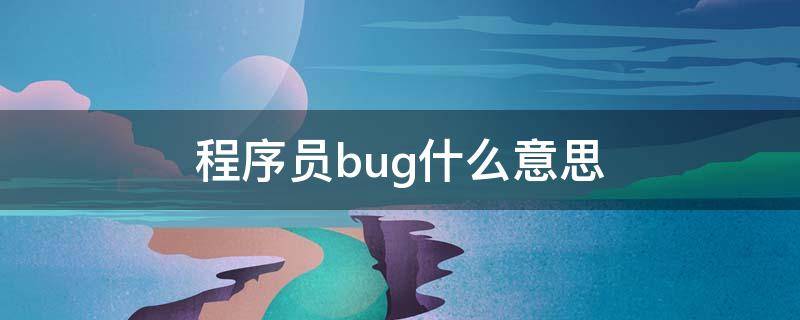 程序员bug什么意思