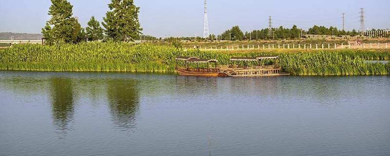 宾阳湿地公园在哪里