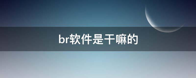 br软件是干嘛的