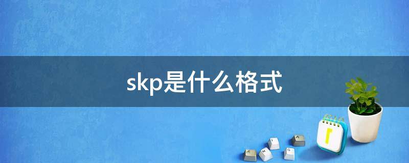 skp是什么格式