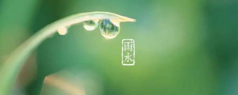 雨水节气吃什么