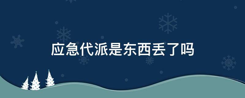 应急代派是东西丢了吗