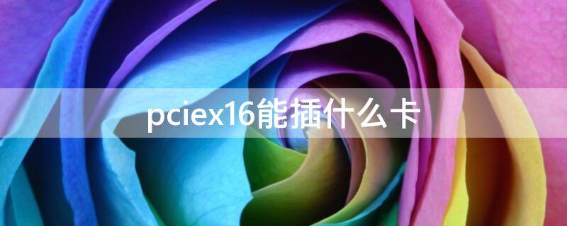 pciex16能插什么卡