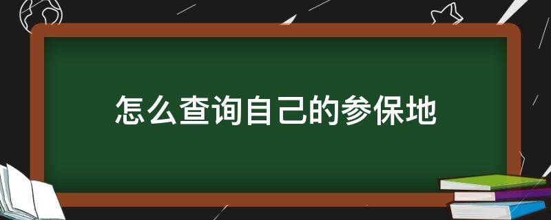 怎么查询自己的参保地