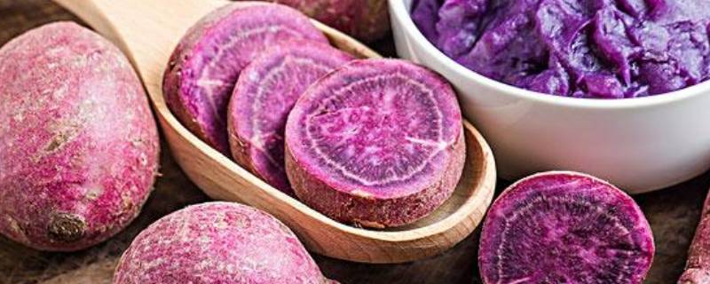 紫色的蔬菜有哪些-墨子百科 紫色的蔬菜有哪些