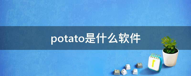 potato是什么软件