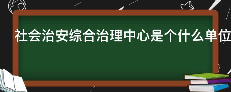 社会治安综合治理中心是个什么单位