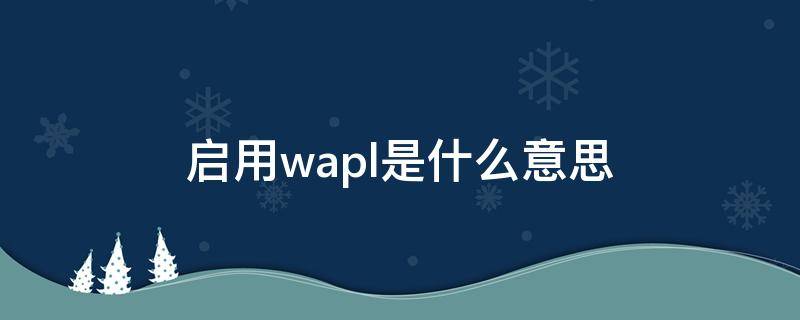 启用wapl是什么意思