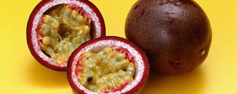 吃白香果的好处-墨子百科 吃白香果的好处