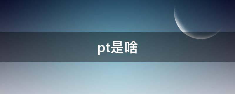 pt是啥