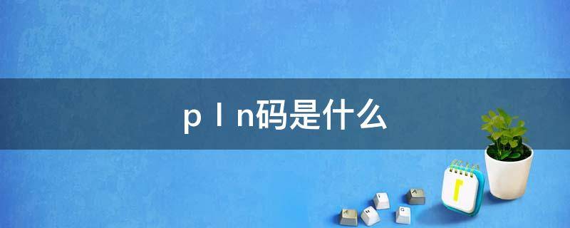 pⅠn码是什么