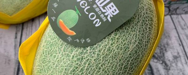 都知果是什么水果-墨子百科 都知果是什么水果